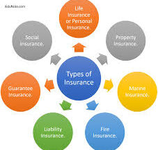 Types of Insurance: A Comprehensive Guide